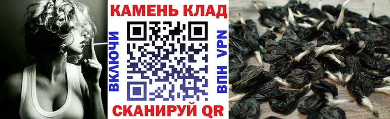 Какие есть наркотики Заинск Бошки Шишки КОКАИН Меф