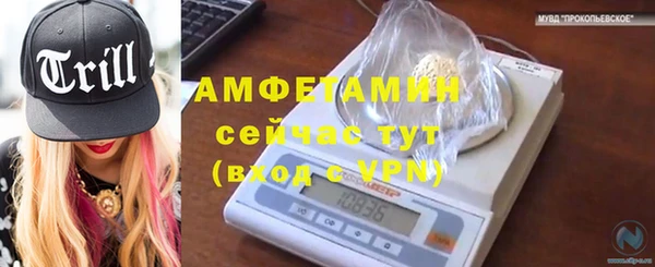 прущие грибы Арсеньев