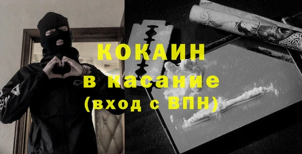 прущие грибы Арсеньев