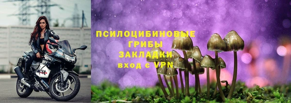 прущие грибы Арсеньев