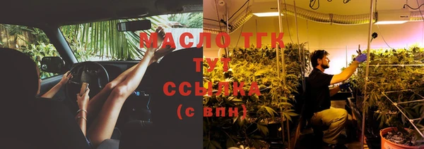прущие грибы Арсеньев