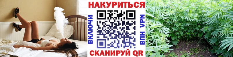купить наркоту  Заинск  Шишки марихуана марихуана 
